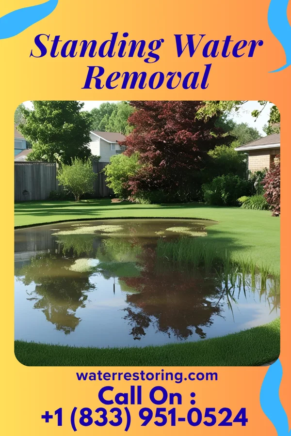 Standing Water Removal in Halifax, NC